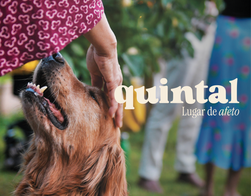 Case-Quintal-Cover-Site